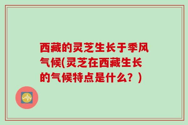 西藏的灵芝生长于季风气候(灵芝在西藏生长的气候特点是什么？)