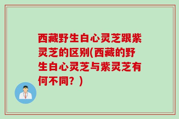 西藏野生白心灵芝跟紫灵芝的区别(西藏的野生白心灵芝与紫灵芝有何不同？)