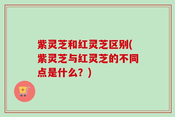 紫灵芝和红灵芝区别(紫灵芝与红灵芝的不同点是什么？)