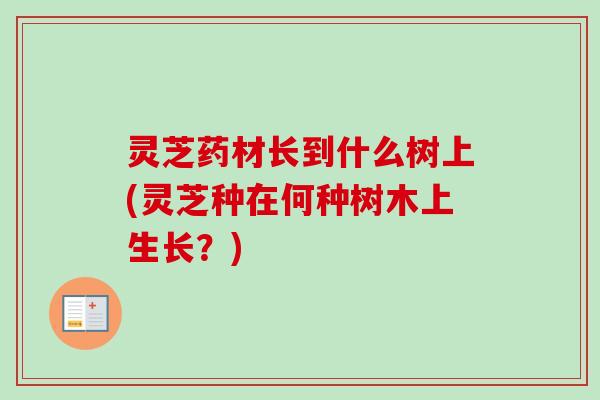 灵芝药材长到什么树上(灵芝种在何种树木上生长？)