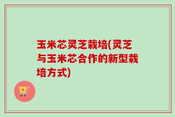 玉米芯灵芝栽培(灵芝与玉米芯合作的新型栽培方式)