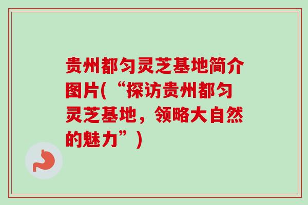 贵州都匀灵芝基地简介图片(“探访贵州都匀灵芝基地，领略大自然的魅力”)