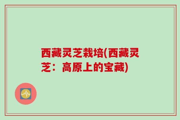西藏灵芝栽培(西藏灵芝：高原上的宝藏)