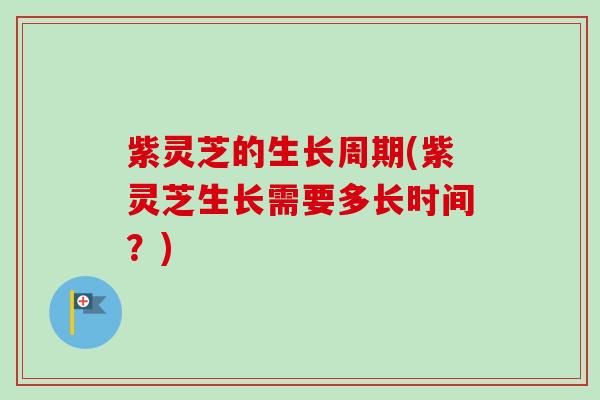 紫灵芝的生长周期(紫灵芝生长需要多长时间？)