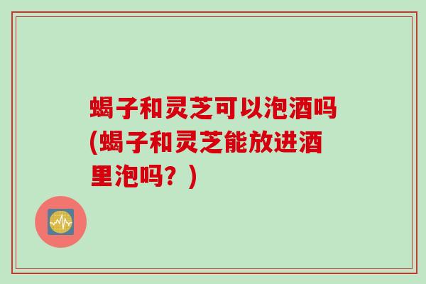 蝎子和灵芝可以泡酒吗(蝎子和灵芝能放进酒里泡吗？)