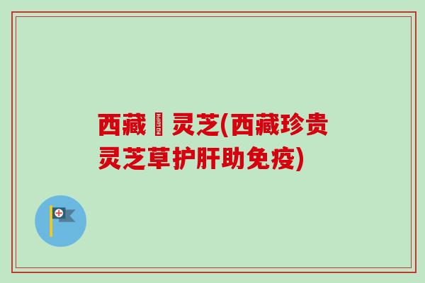 西藏採灵芝(西藏珍贵灵芝草护肝助免疫)