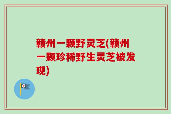 赣州一颗野灵芝(赣州一颗珍稀野生灵芝被发现)