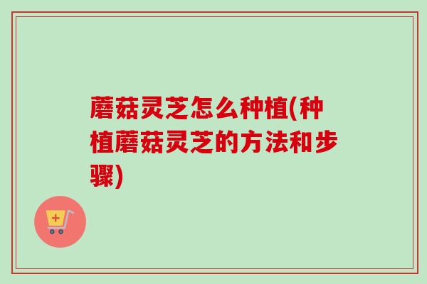 蘑菇灵芝怎么种植(种植蘑菇灵芝的方法和步骤)