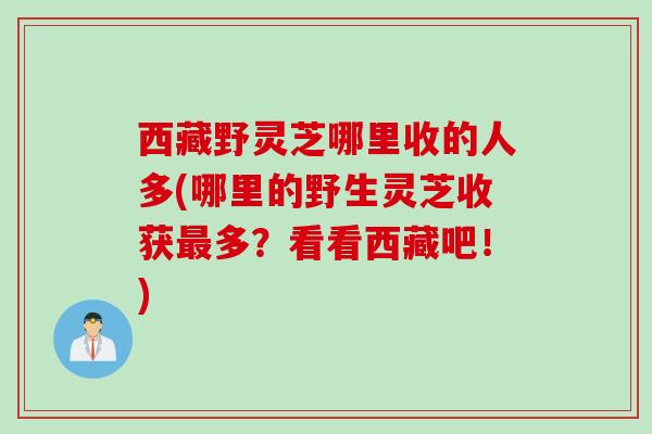 西藏野灵芝哪里收的人多(哪里的野生灵芝收获最多？看看西藏吧！)