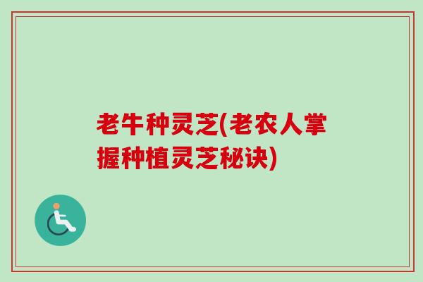 老牛种灵芝(老农人掌握种植灵芝秘诀)