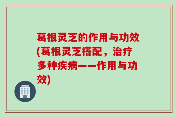葛根灵芝的作用与功效(葛根灵芝搭配，治疗多种疾病——作用与功效)