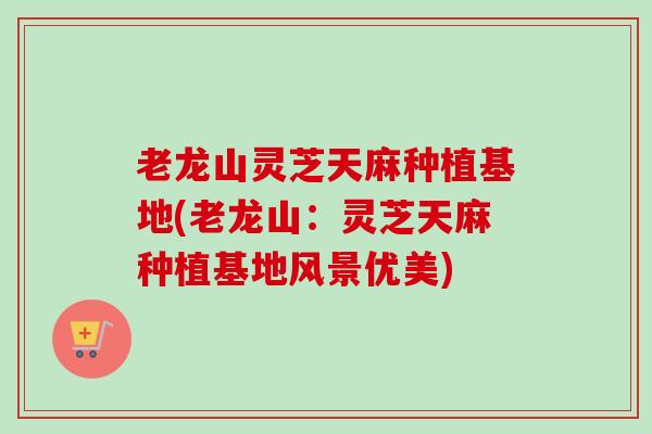 老龙山灵芝天麻种植基地(老龙山：灵芝天麻种植基地风景优美)