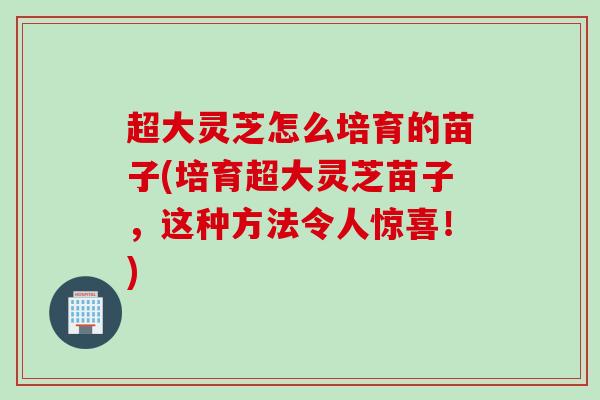 超大灵芝怎么培育的苗子(培育超大灵芝苗子，这种方法令人惊喜！)