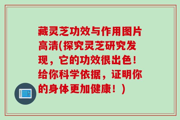 藏灵芝功效与作用图片高清(探究灵芝研究发现，它的功效很出色！给你科学依据，证明你的身体更加健康！)