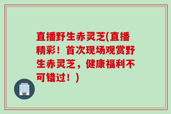 直播野生赤灵芝(直播精彩！首次现场观赏野生赤灵芝，健康福利不可错过！)