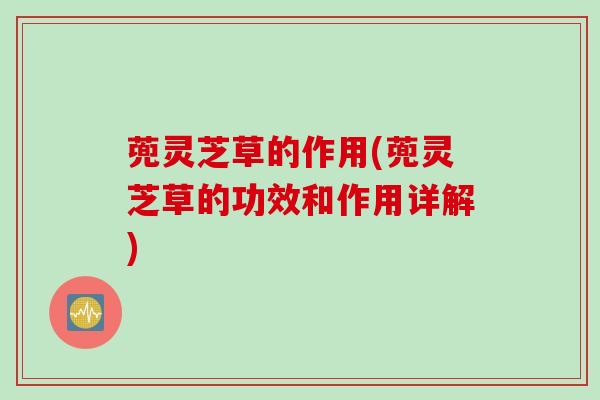 蔸灵芝草的作用(蔸灵芝草的功效和作用详解)