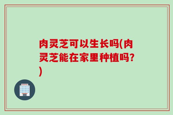 肉灵芝可以生长吗(肉灵芝能在家里种植吗？)