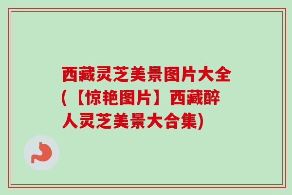 西藏灵芝美景图片大全(【惊艳图片】西藏醉人灵芝美景大合集)