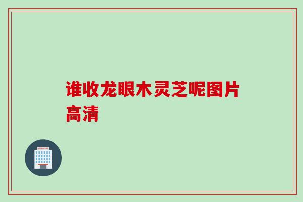 谁收龙眼木灵芝呢图片高清