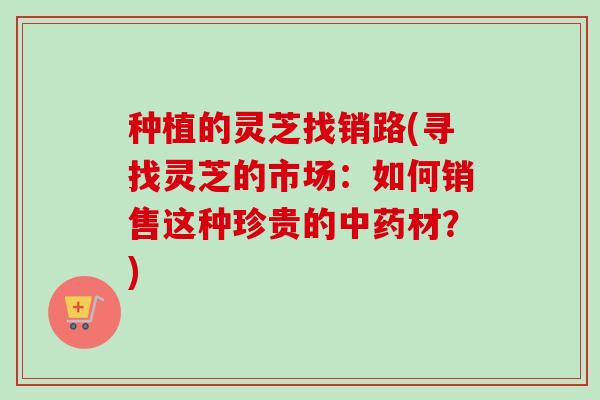 种植的灵芝找销路(寻找灵芝的市场：如何销售这种珍贵的材？)