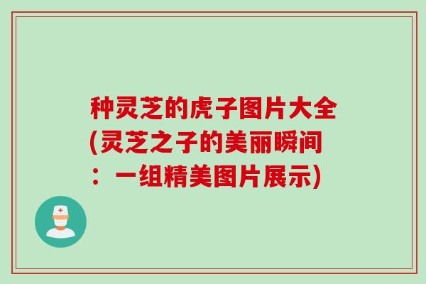 种灵芝的虎子图片大全(灵芝之子的美丽瞬间:一组精美图片展示) 种灵芝的虎子图片大全(灵芝之子的美丽瞬间:一组精美图片展示)