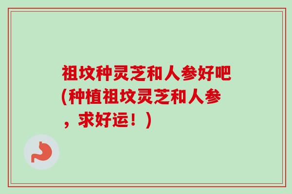 祖坟种灵芝和人参好吧(种植祖坟灵芝和人参，求好运！)