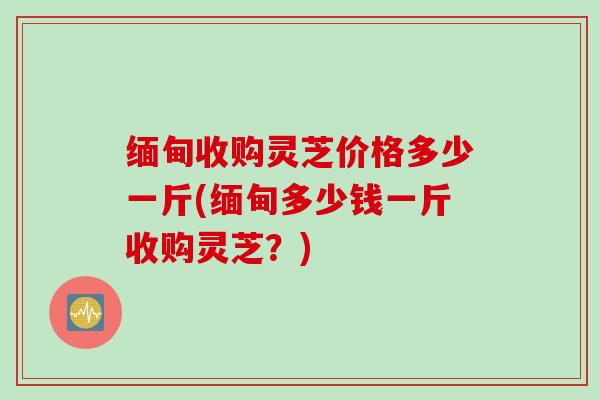 缅甸收购灵芝价格多少一斤(缅甸多少钱一斤收购灵芝？)