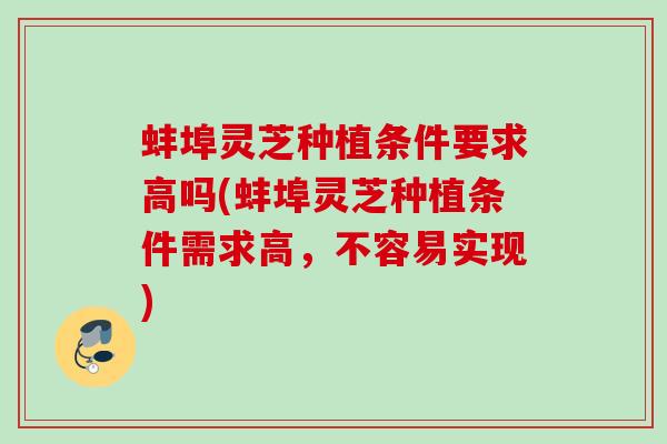 蚌埠灵芝种植条件要求高吗(蚌埠灵芝种植条件需求高,不容易实现) 蚌埠灵芝种植条件要求高吗(蚌埠灵芝种植条件需求高,不容易实现)