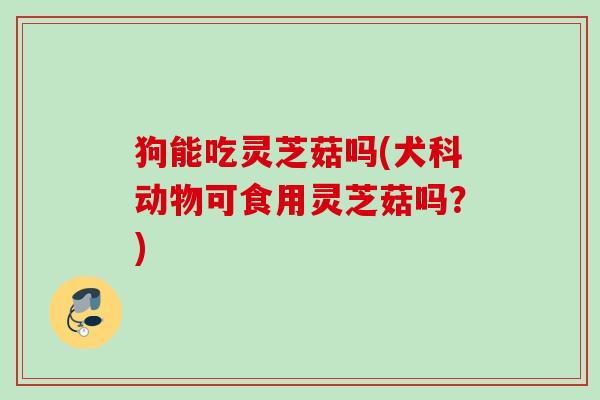 狗能吃灵芝菇吗(犬科动物可食用灵芝菇吗？)