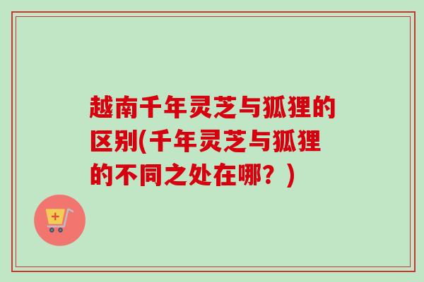 越南千年灵芝与狐狸的区别(千年灵芝与狐狸的不同之处在哪?) 越南千年灵芝与狐狸的区别(千年灵芝与狐狸的不同之处在哪?)