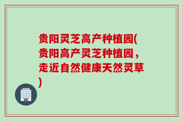 贵阳灵芝高产种植园(贵阳高产灵芝种植园,走近自然健康天然灵草) 贵阳灵芝高产种植园(贵阳高产灵芝种植园,走近自然健康天然灵草)