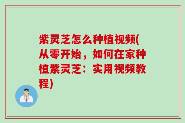 紫灵芝怎么种植视频(从零开始，如何在家种植紫灵芝：实用视频教程)