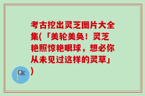 考古挖出灵芝图片大全集(「美轮美奂!灵芝艳照惊艳眼球,想必你从未见过这样的灵草」) 考古挖出灵芝图片大全集(「美轮美奂!灵芝艳照惊艳眼球,想必你从未见过这样的灵草」)