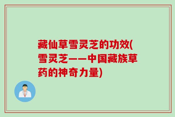 藏仙草雪灵芝的功效(雪灵芝——中国藏族草药的神奇力量) 藏仙草雪灵芝的功效(雪灵芝——中国藏族草药的神奇力量)