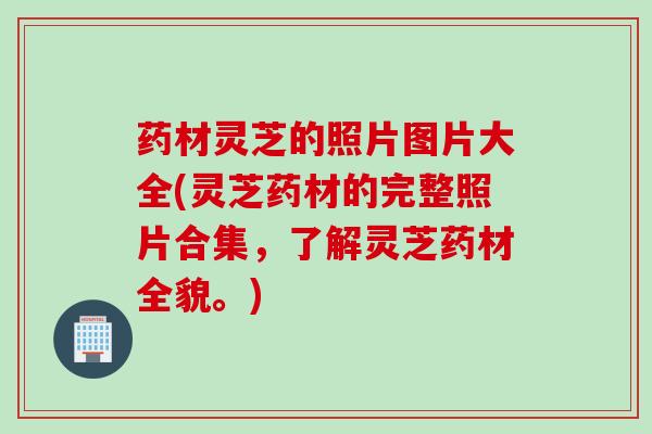 药材灵芝的照片图片大全(灵芝药材的完整照片合集,了解灵芝药材全貌。) 药材灵芝的照片图片大全(灵芝药材的完整照片合集,了解灵芝药材全貌。)