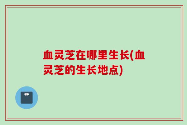 灵芝在哪里生长(灵芝的生长地点) 灵芝在哪里生长(灵芝的生长地点)