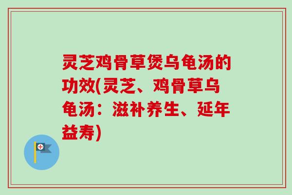 灵芝鸡骨草煲乌龟汤的功效(灵芝、鸡骨草乌龟汤:滋补养生、延年益寿) 灵芝鸡骨草煲乌龟汤的功效(灵芝、鸡骨草乌龟汤:滋补养生、延年益寿)
