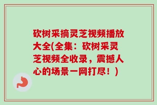 砍树采摘灵芝视频播放大全(全集：砍树采灵芝视频全收录，震撼人心的场景一网打尽！)