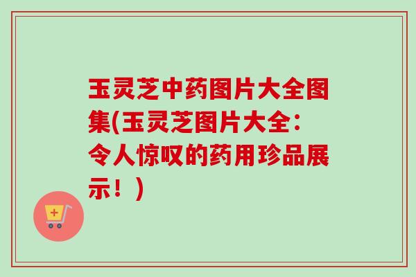 玉灵芝图片大全图集(玉灵芝图片大全:令人惊叹的药用珍品展示!) 玉灵芝图片大全图集(玉灵芝图片大全:令人惊叹的药用珍品展示!)
