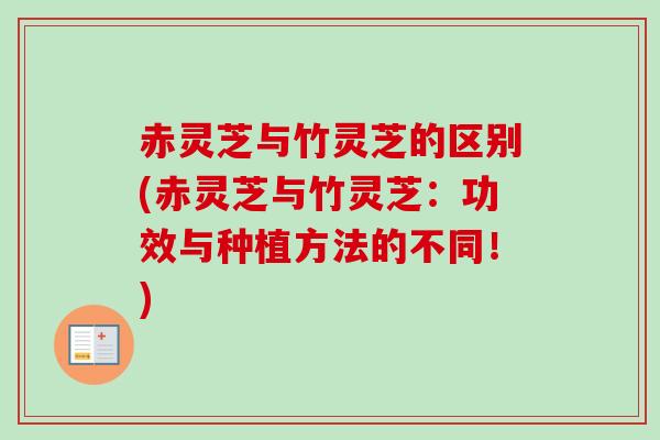 赤灵芝与竹灵芝的区别(赤灵芝与竹灵芝：功效与种植方法的不同！)