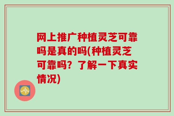 网上推广种植灵芝可靠吗是真的吗(种植灵芝可靠吗?了解一下真实情况) 网上推广种植灵芝可靠吗是真的吗(种植灵芝可靠吗?了解一下真实情况)
