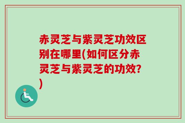 赤灵芝与紫灵芝功效区别在哪里(如何区分赤灵芝与紫灵芝的功效?) 赤灵芝与紫灵芝功效区别在哪里(如何区分赤灵芝与紫灵芝的功效?)