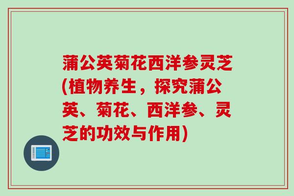 蒲公英菊花西洋参灵芝(植物养生，探究蒲公英、菊花、西洋参、灵芝的功效与作用)