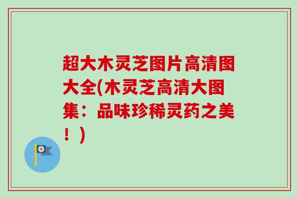 超大木灵芝图片高清图大全(木灵芝高清大图集:品味珍稀灵药之美!) 超大木灵芝图片高清图大全(木灵芝高清大图集:品味珍稀灵药之美!)