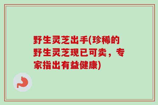 野生灵芝出手(珍稀的野生灵芝现已可卖,专家指出有益健康) 野生灵芝出手(珍稀的野生灵芝现已可卖,专家指出有益健康)