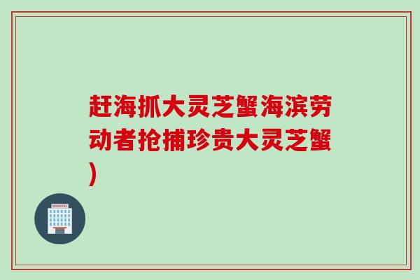 赶海抓大灵芝蟹海滨劳动者抢捕珍贵大灵芝蟹) 赶海抓大灵芝蟹海滨劳动者抢捕珍贵大灵芝蟹)
