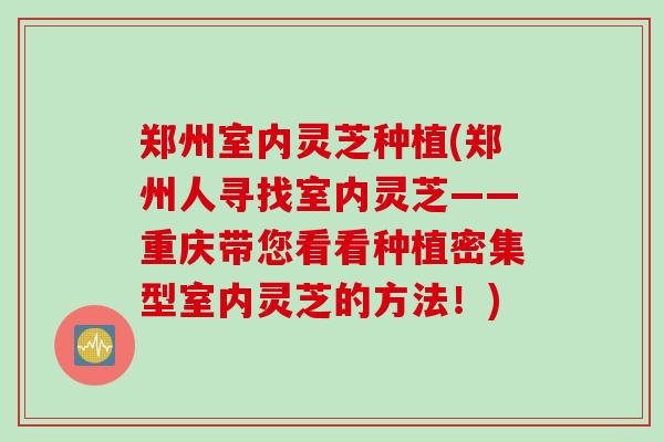 郑州室内灵芝种植(郑州人寻找室内灵芝——重庆带您看看种植密集型室内灵芝的方法！)