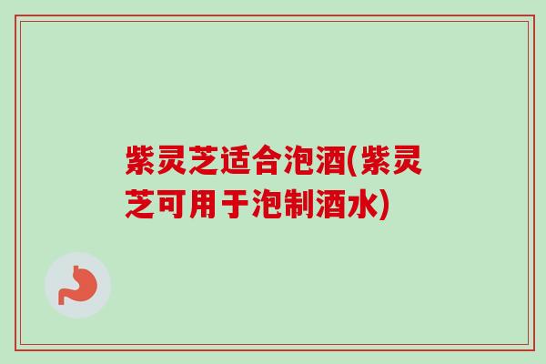 紫灵芝适合泡酒(紫灵芝可用于泡制酒水)