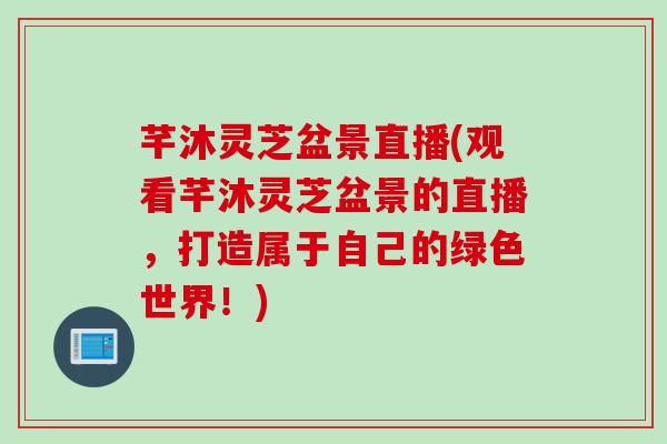 芊沐灵芝盆景直播(观看芊沐灵芝盆景的直播,打造属于自己的绿色世界!) 芊沐灵芝盆景直播(观看芊沐灵芝盆景的直播,打造属于自己的绿色世界!)