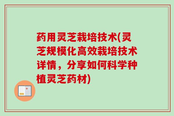 药用灵芝栽培技术(灵芝规模化高效栽培技术详情,分享如何科学种植灵芝药材) 药用灵芝栽培技术(灵芝规模化高效栽培技术详情,分享如何科学种植灵芝药材)